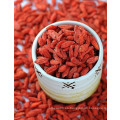 Ningxia de alta calidad seca bayas de Goji (WolfBerry)